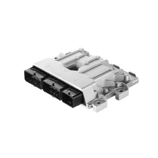 Engine Control Unit (ECU)